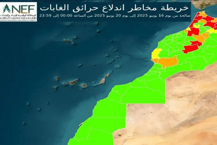 الوكالة الوطنية للمياه والغابات تصدر خرائط تنبؤ تحدد المناطق المعرضة لخطر اندلاع الحرائق الغابوية