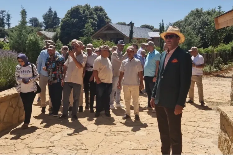 اليوم العالمي للجبال: إفران تحتفي بالنموذج المغربي في التدبير الإيكولوجي