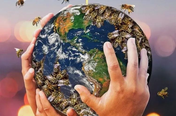 اليوم العالمي للنحل: خبير يدعو إلى إرساء ثقافة حقيقية لتربية النحل بالمغرب