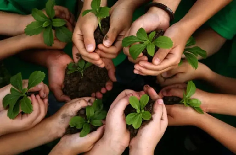 اليوم الوطني للشجرة.. انخراط متنام للحفاظ على رئة الأرض