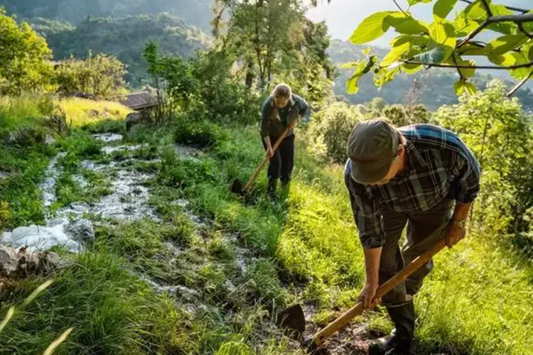 اليونسكو تدرج تقنيات الري التقليدي ضمن قائمة التراث غير المادي