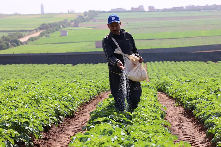 جهة طنجة تطوان الحسيمة .. تنفيذ متواصل للبرنامج الاستثنائي للتخفيف من شح التساقطات المطرية