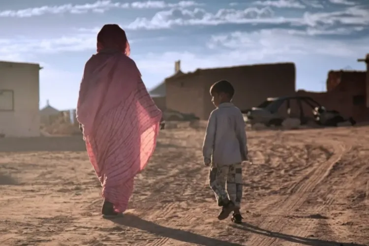 منظمة غير حكومية تدعو الجزائر إلى قطع علاقاتها مع انتهاكات حقوق الإنسان في تندوف وسائر ترابها