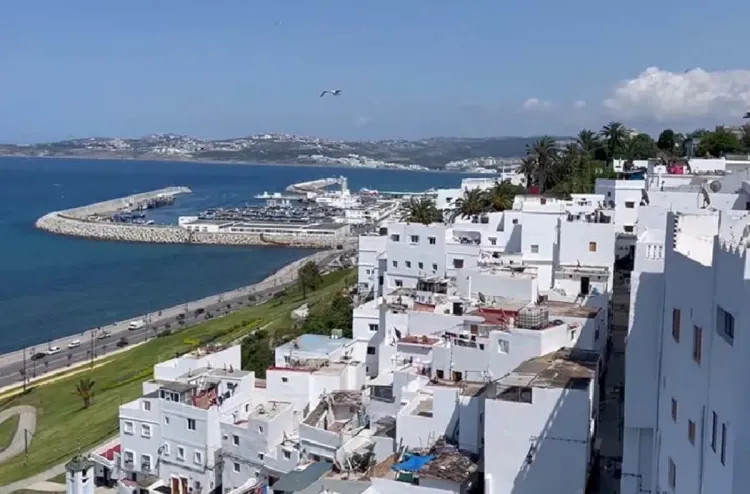 انعقاد الدورة الثانية عشرة من مهرجان "باشيخ" يومي 12 و 13 يناير الجاري بطنجة