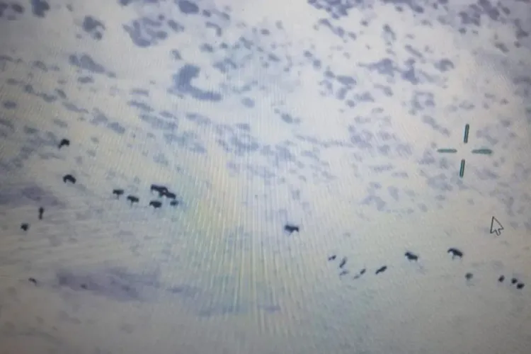 إنقاذ 5 رعاة كانوا محاصرين جراء الزلزال في منطقة جبلية بالاستعانة بطائرة درون