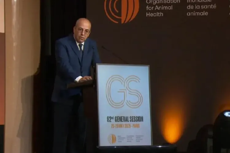 باريس.. المغرب يدعو إلى تعزيز العمل الجماعي من أجل الصحة الحيوانية