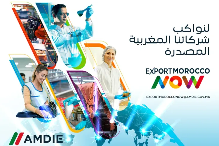 الوكالة المغربية لتنمية الاستثمارات والصادرات تطلق برنامج EXPORT MOROCCO NOW