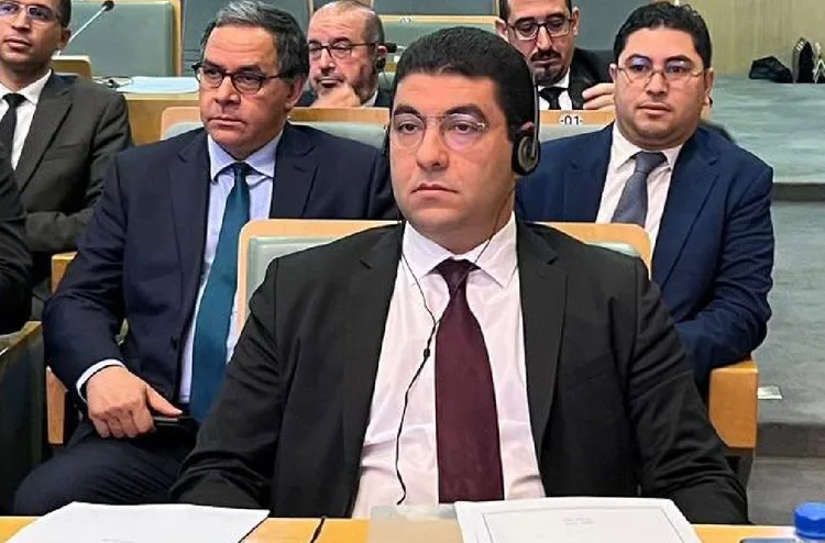 السيد بنسعيد من أديس أبابا: جلالة الملك يولي أهمية خاصة لقضايا الشباب المغربي والإفريقي