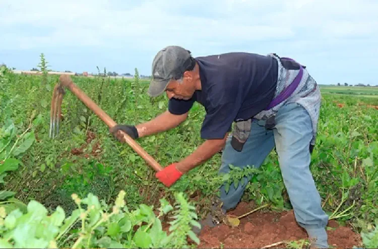 بنسليمان.. التساقطات المطرية تحمل بشائر موسم فلاحي واعد