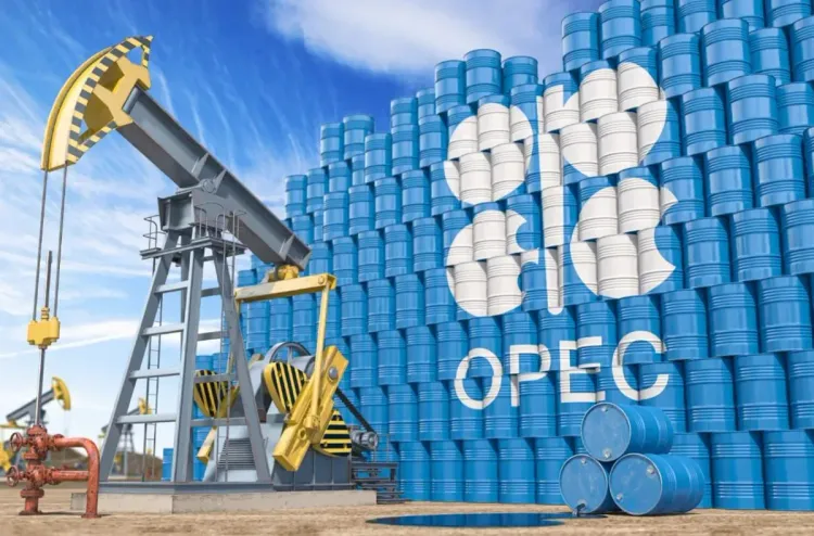 "أوبك" تتوقع استمرار ارتفاع استهلاك النفط حتى العام 2050