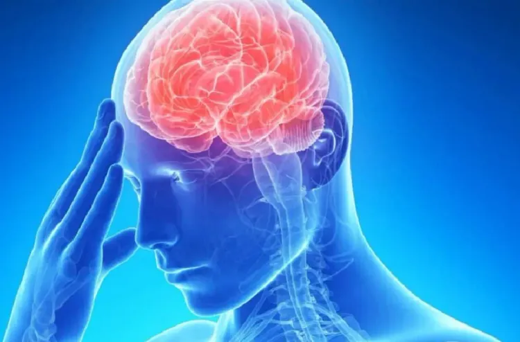 تقنية جديدة تحول خلايا الدم إلى علاج للسكتات الدماغية