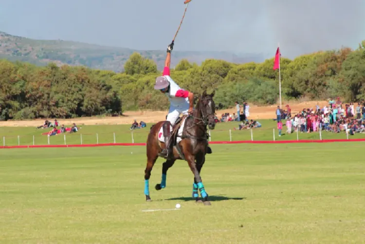 تنظيم النسخة الثالثة لكأس العرش للبولو من 21 الى 27 يوليوز الجاري