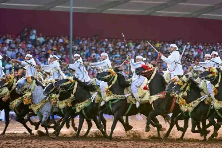 فاس مكناس : تأهل 12 سربة للكبار و6 سربات للصغار لجائزة الحسن الثاني دار السلام بالرباط