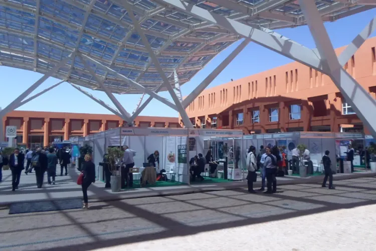 وزارة التعليم العالي تعلن عن إطلاق طلب تقديم مشاريع لإنتاج دروس رقمية