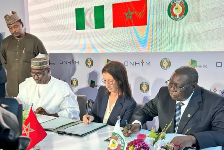 جلالة الملك يولي أهمية قصوى لتعزيز التعاون جنوب-جنوب لأجل إفريقيا مزدهرة (خبير نيجيري)