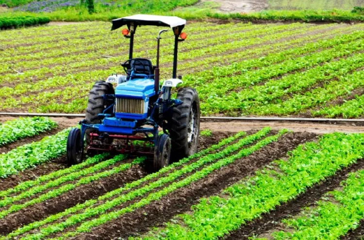 جهة الرباط سلا القنيطرة.. التساقطات المطرية المهمة تنعش آمال الفلاحين بموسم فلاحي جيد (مديرية)