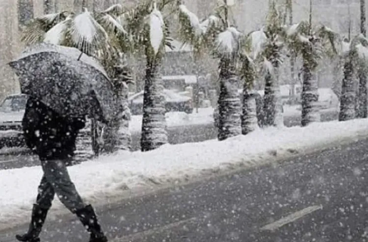 جهة الشرق.. تدابير صحية استباقية لمواجهة تداعيات التقلبات الجوية