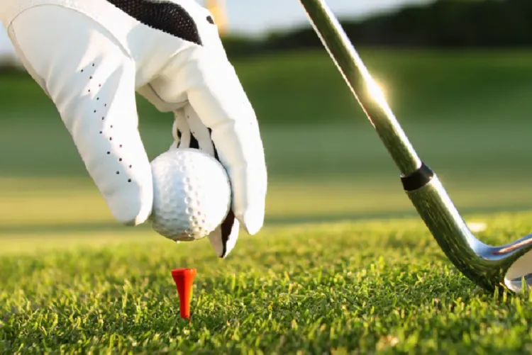 كأس العرش للغولف 2025: تأهل أربعة أندية لنصف النهائي