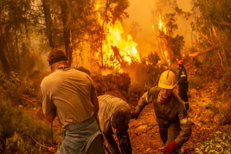 اليونان تواصل مواجهة حرائق الغابات لليوم السابع تواليا