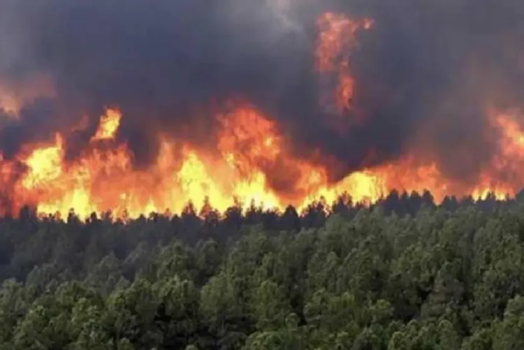 حرائق الغابات بكندا.. أزيد من 20 ألف شخص يواجهون إنذارا بالإجلاء