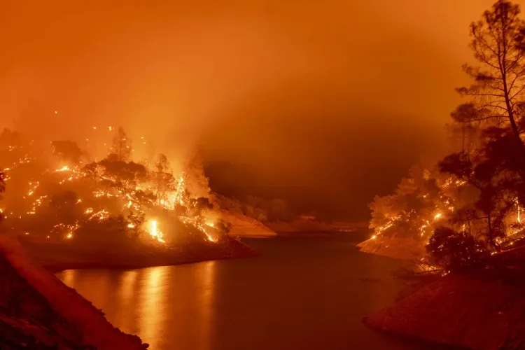 حرائق ضخمة تجتاح من جديد منطقة القبايل الجزائرية