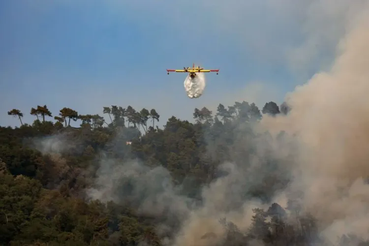 طائرات كاندير تتدخل لإخماد حرائق في محمية غابوية بالقنيطرة