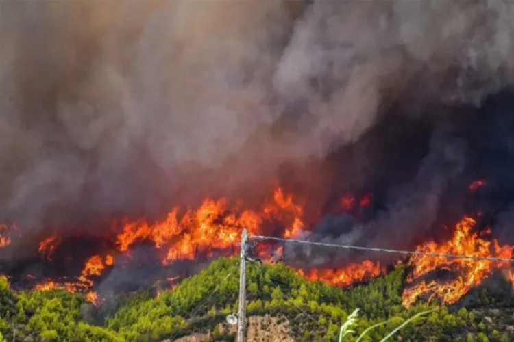 إقليم الحسيمة .. الجهود مستمرة للسيطرة على الحريق