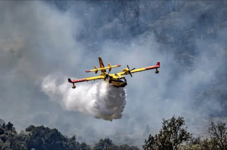 تازة: السيطرة بالكامل على حريق غابة مغراوة