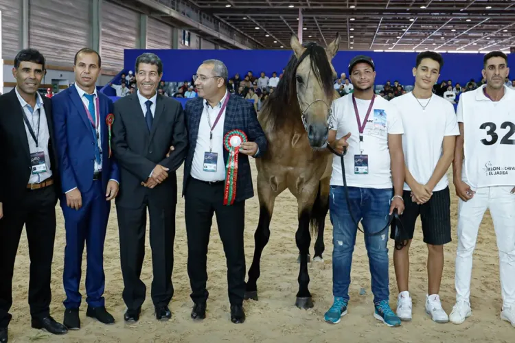معرض الفرس2023: الحصان قيصر الشاوية يتوج بالميدالية الذهبية لكأس الأبطال للخيول البربرية
