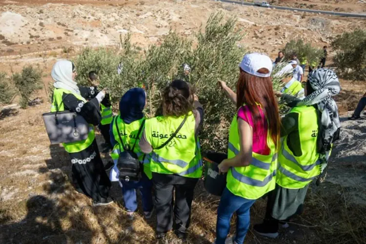 حملة عونة 2022 : شخصيات فلسطينية تعبّر عن شكرها لجلالة الملك على دعمه المتواصل للمقدسيين