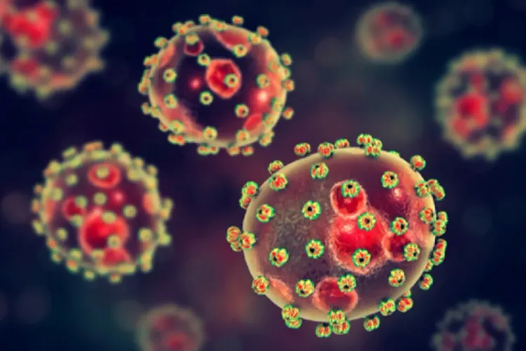 نيجيريا .. حمى "لاسا" تودي بحياة 155 شخصا في ظرف سبعة أشهر