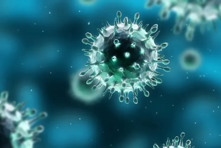 دراسة أمريكية تتوصل إلى مركبات كيميائية قادرة على مواجهة أنواع متعددة من الفيروسات