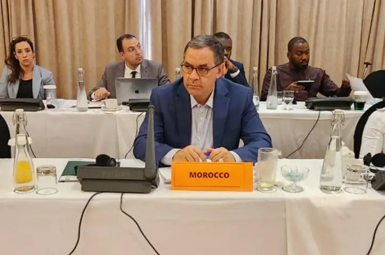 رئاسة المغرب لمجلس السلم والأمن لشهر فبراير ستسترشد بالرؤية الملكية للعمل الإفريقي المشترك