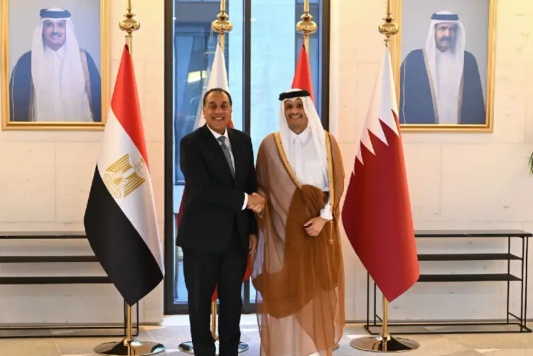 رئيس مجلس الوزراء القطري يبحث مع نظيره المصري آخر التطورات في المنطقة