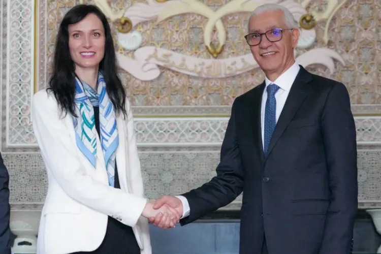 الطالبي العلمي يجري محادثات مع نائبة الوزير الأول ووزيرة الخارجية بجمهورية بلغاريا