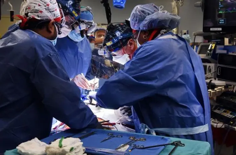 للمرة الثانية.. زرع قلب خنزير في جسم إنسان