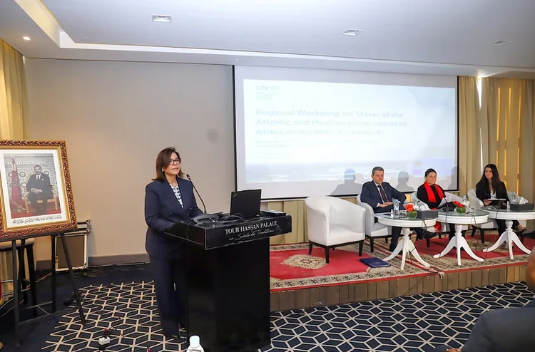 اتفاقية قانون البحار "BBNJ": خطوة كبيرة لحفظ واستغلال الموارد البحرية بشكل مستدام (السيدة الدريوش)