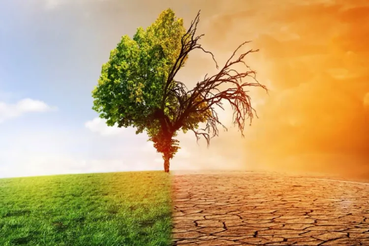 سكان الدول منخفضة الدخل أكثر عرضة للظواهر المناخية القصوى (دراسة)