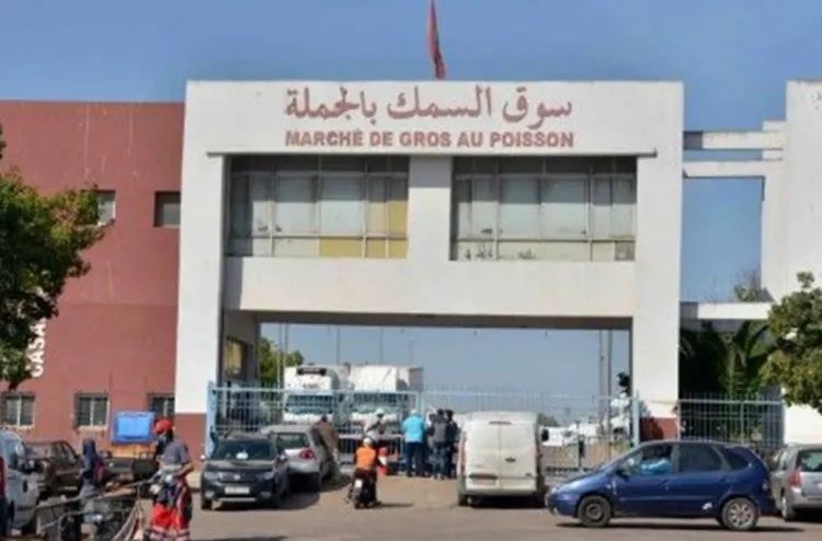 عرض وافر من الأسماك: سوق الجملة الهراويين بالدار البيضاء يستقبل أزيد من 720 طنا في اليوم الأول من رمضان