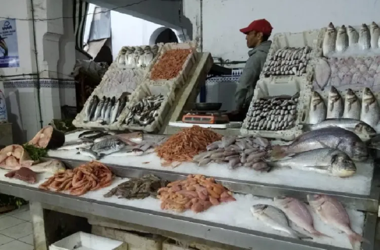 تطوير شبكة أسواق السمك بالجملة ساهم في تعزيز المنافسة المشروعة والحد من المضاربات (الدريوش)