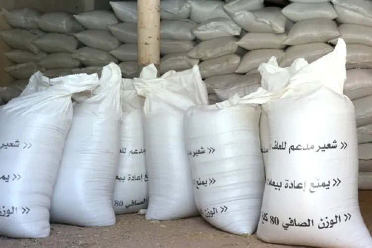 توزيع أزيد من 57 ألف قنطار من الشعير المدعم لفائدة الفلاحين بإقليم تارودانت