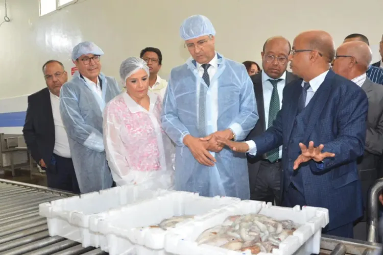 السيد محمد صديقي يعطي الانطلاقة الرسمية للعمل بالرقمنة خلال عمليات البيع بميناء أكادير