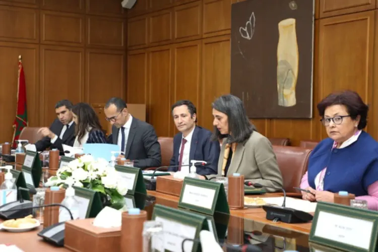 صندوق محمد السادس مقاربة ملكية مبتكرة في خدمة الاستثمار