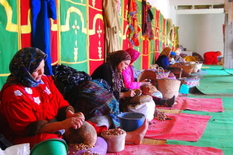 الصويرة : برنامج تكويني لفائدة الصناع التقليديين والتعاونيات العاملة في مجال الأركان