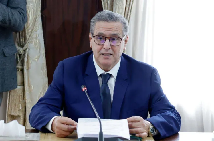 الحكومة تعمل بعزم لتنزيل مختلف المشاريع التنموية (السيد أخنوش)