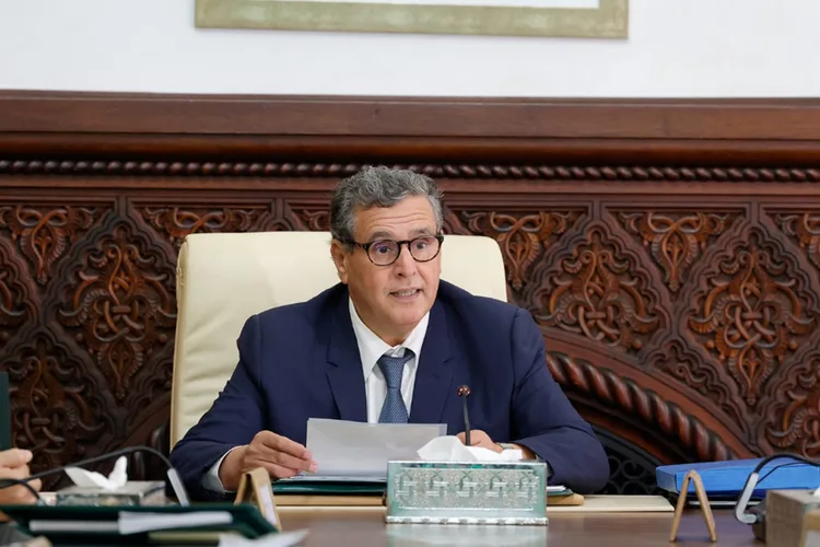 أخنوش: العلاقة بين المغرب ومنظمة التعاون والتنمية الاقتصادية لطالما تميزت بالتعاون الدائم والمثمر