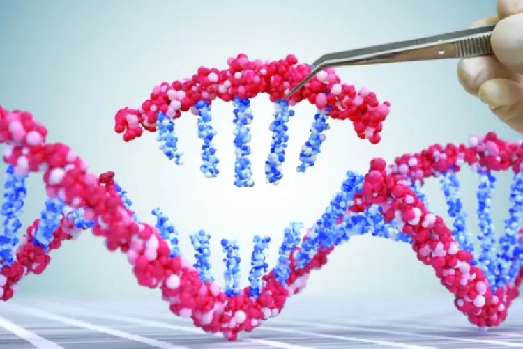 علماء روس يطورون نظام ذكاء اصطناعي لاكتشاف الخثرات الدموية وتقييم مخاطرها