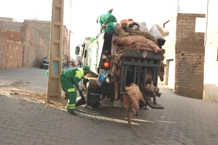 عمال النظافة أمام تحدي جمع أكوام غير معتادة من النفايات في عيد الأضحى