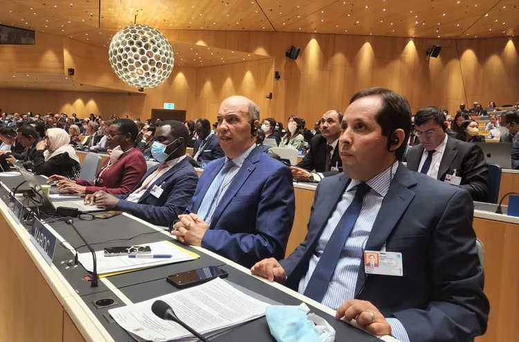 المملكة المغربية تدعو بجنيف إلى ضمان حماية المدنيين والمستشفيات في غزة