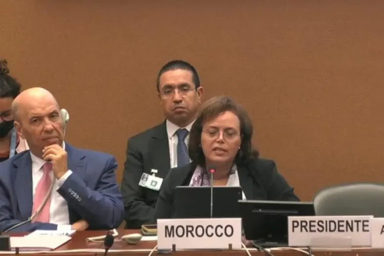 السيدة عواطف حيار تترأس فعاليات الحوار التفاعلي المتعلق باتفاقية القضاء على التمييز ضد المرأة بجنيف